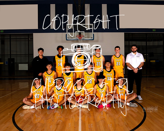 JV Gold