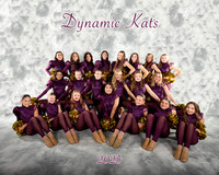 Dynamic Kats Pom 8x10