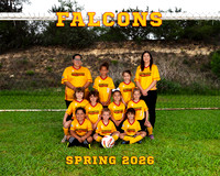 Falcons 8x10