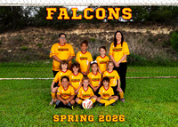 Falcons 5x7