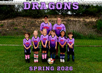 Dragons 5x7