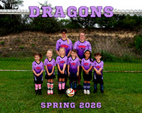 Dragons 8x10