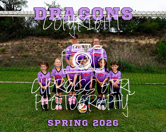 Dragons 8x10