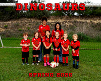 Dinosaurs 8x10