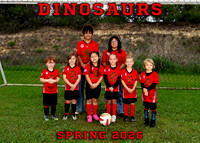 Dinosaurs 5x7