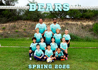 Bears 5x7