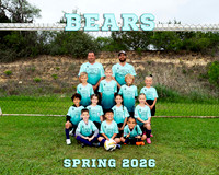 Bears 8x10