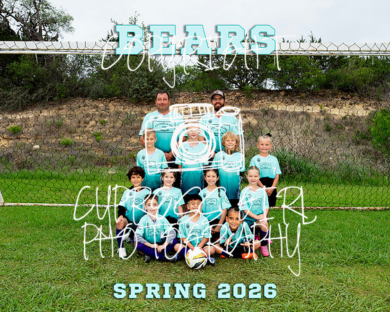 Bears 8x10