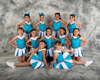 Blue Cubs
