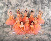 Enchanted Ballet 8x10