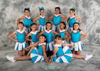 Blue Cubs 5x7