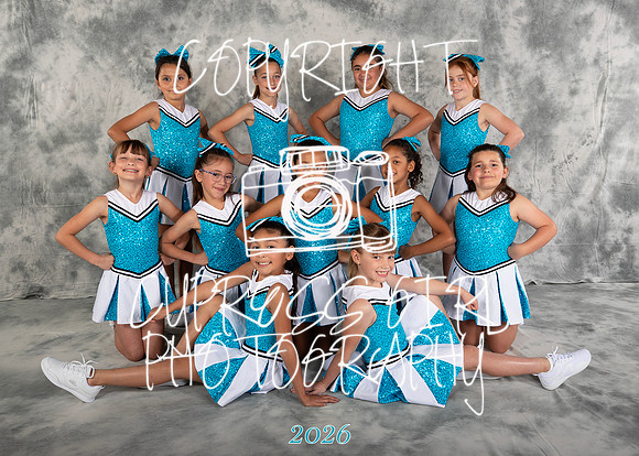 Blue Cubs 5x7