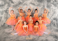 Enchanted Ballet 5x7
