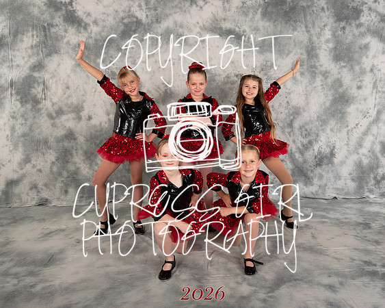 Heart of Rock N Roll 8x10