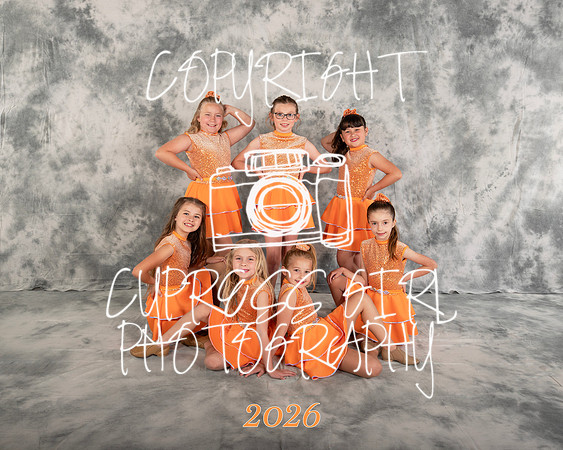 Crowd Go Crazy 8x10