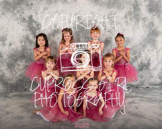 Twinkle Toes Ballet 8x10