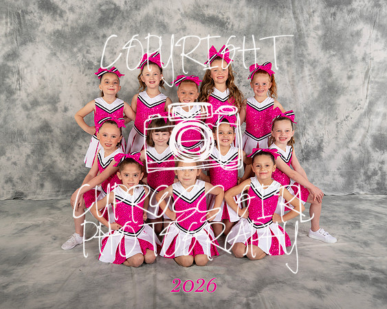 Pink Cubs 8x10