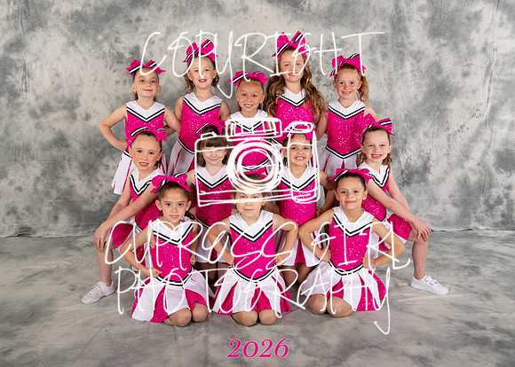 Pink Cubs 5x7