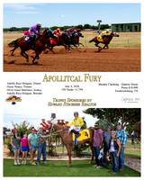 Apollitcal Fury