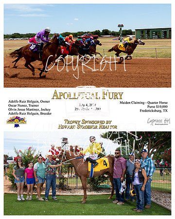 Apollitcal Fury