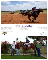 Bye Llano Bye