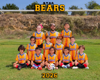 Bears 8x10