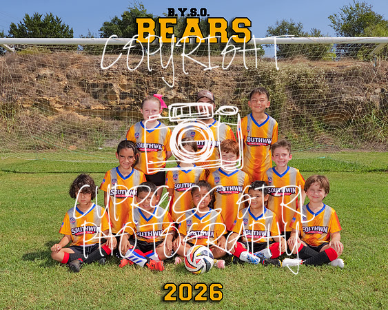 Bears 8x10