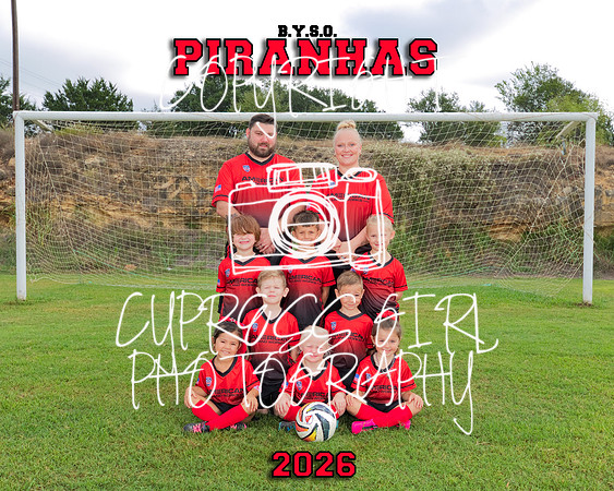 Piranhas 8x10
