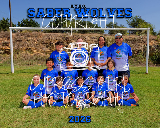 Saber Wolves 8x10