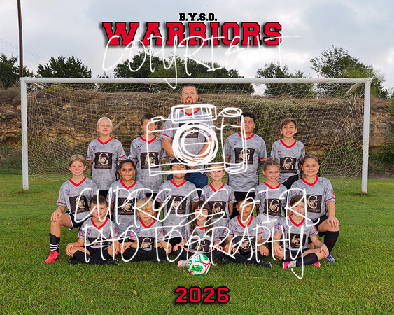 Warriors 8x10
