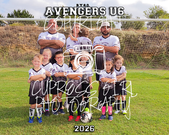Avengers U6 8x10