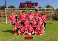 Aztecs 5x7