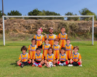 Bears