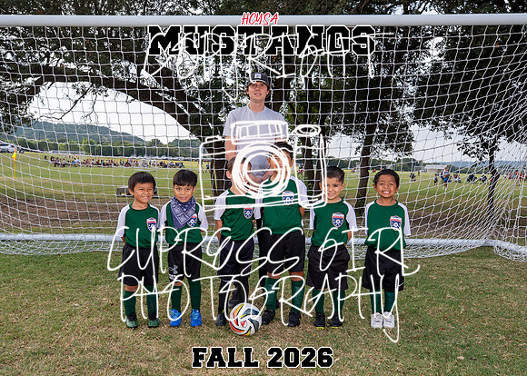 Mustangs 5x7