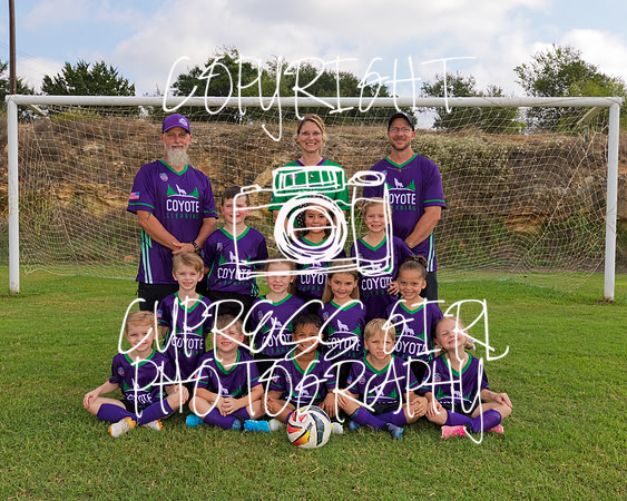 Dragons U8