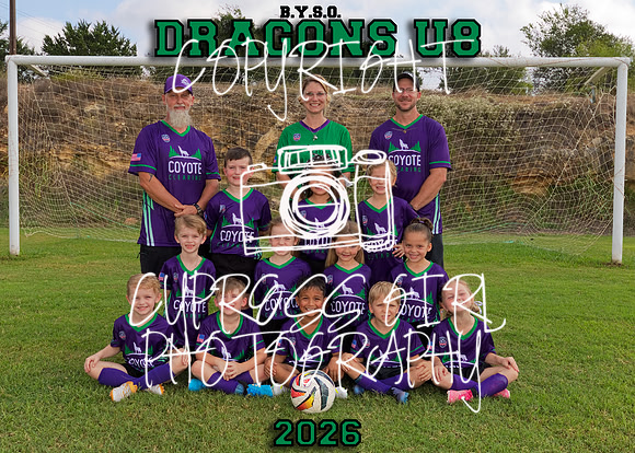 Dragons U8 5x7