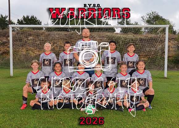 Warriors 5x7