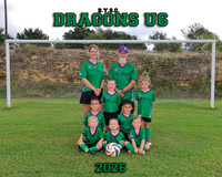 Dragons U6 8x10