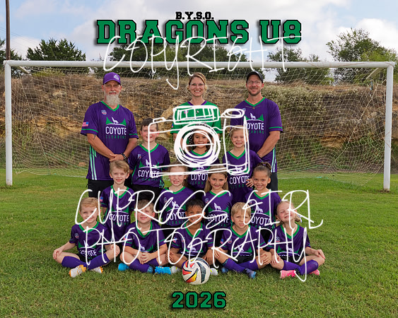 Dragons U8 8x10