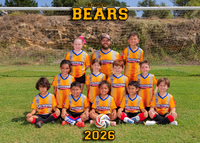Bears 5x7