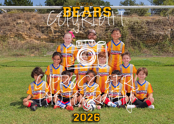 Bears 5x7